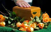 Pet Cremation Florida